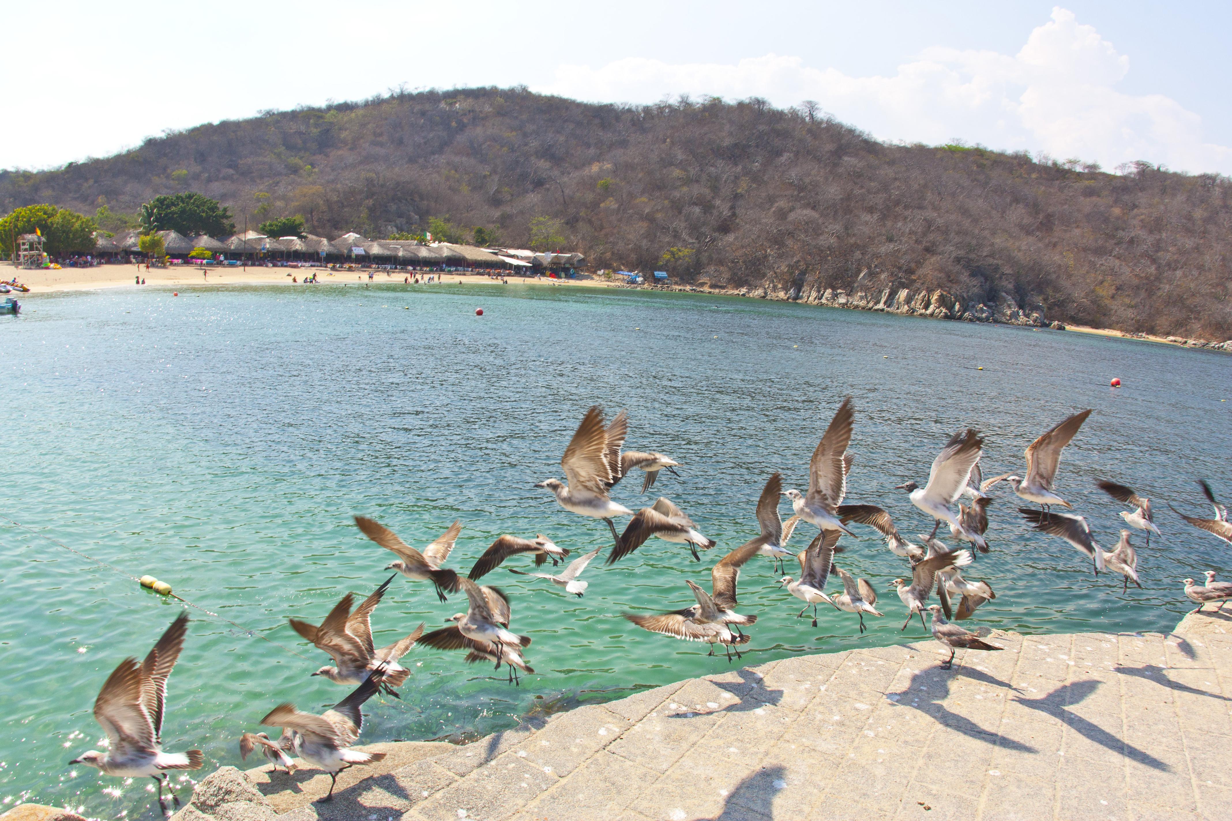 Blanca Huatulco Santa Cruz Huatulco